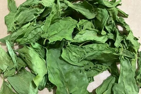 تصویر 2 از خرید و قیمت سبزی اسفناج خشک سوپر صادراتی + فروش عمده